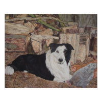 border collie dog in log shed with chickens art