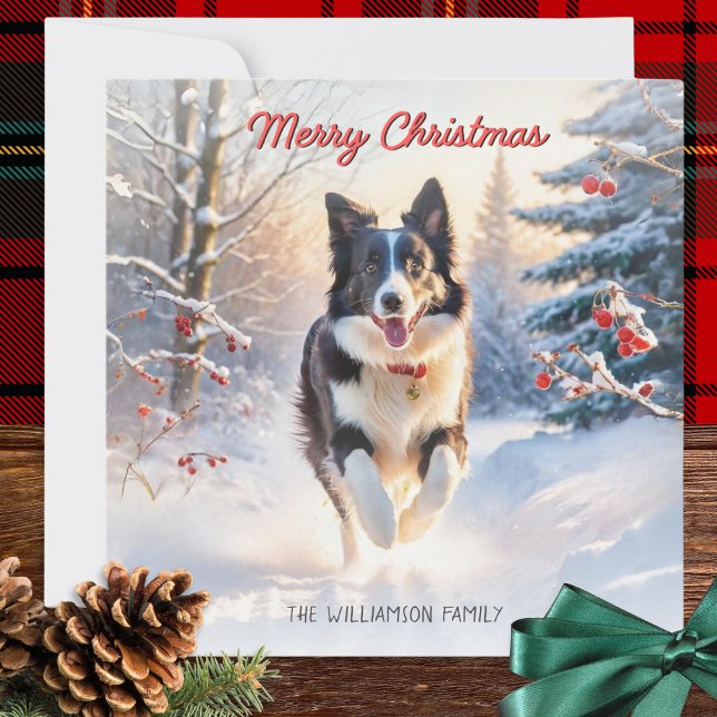 Border Collie Dog In Snow Merry Christmas Holiday Card (A personalized Christmas card with illustration of a black and white border collie and winter snow)
