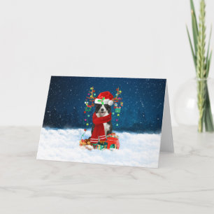 Border Collie Dog in Snow with Christmas Gifts Card