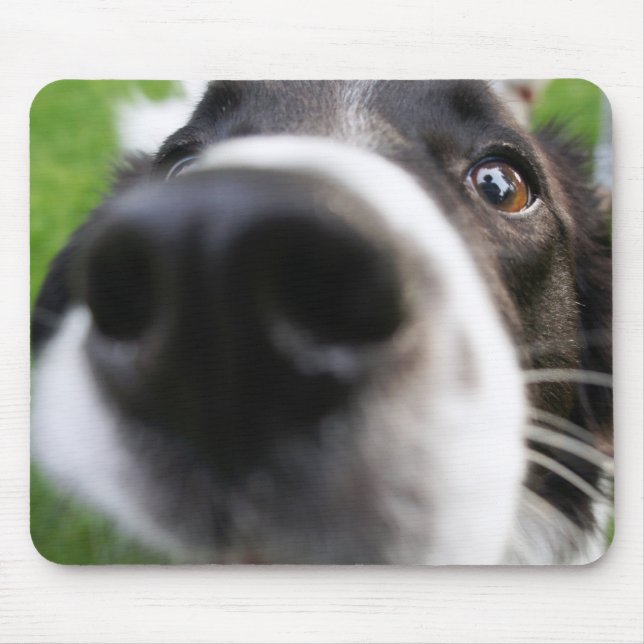 Border Collie Dog Nose Mouse Pad (Front)