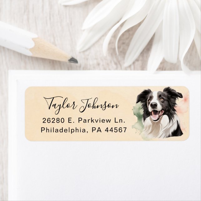 Border Collie Dog Return Address Label (Insitu)