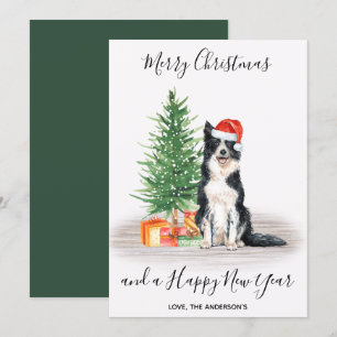 Border Collie Dog Santa Tree Merry Christmas Holiday Card