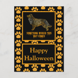 Border Collie Dog Silhouette Halloween Orange Postcard