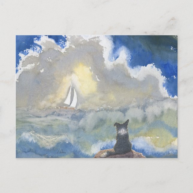 Border Collie Dog Staring Out to Sea Postcard (Front)