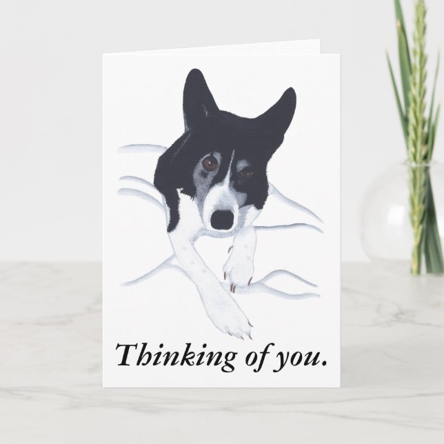 Border Collie Dog Thinking of you Cards (Front)