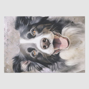 Border Collie Dog Tissue Paper