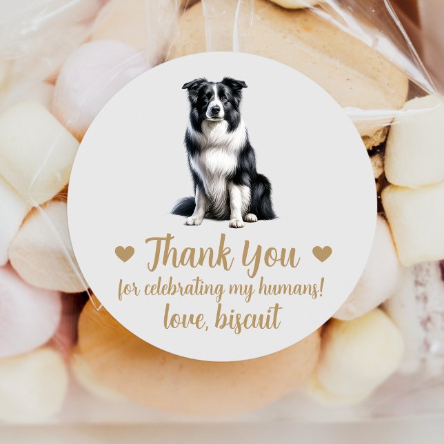 Border Collie Dog Wedding Favour Stickers (Creator Uploaded)