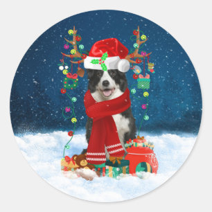 Border Collie dog with Christmas gifts  Classic Round Sticker