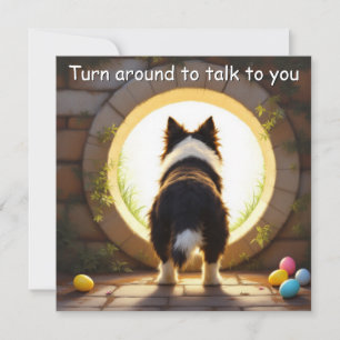 Border Collie dog - with Family Name Holiday Card