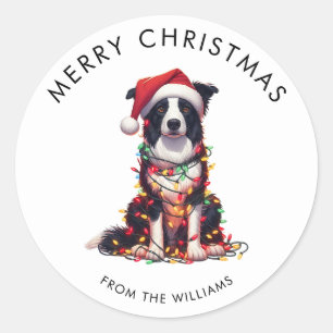 Border Collie Dog Wrapped In Christmas Light Classic Round Sticker