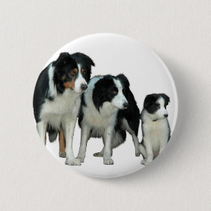 Border Collie Dogs 6 Cm Round Badge