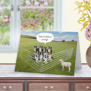 Border Collie Dogs and Sheep Funny Birthday Card