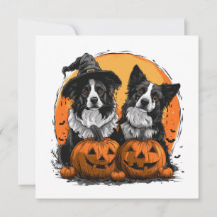 Border Collie Dogs Halloween Jack O Lanterns Invitation