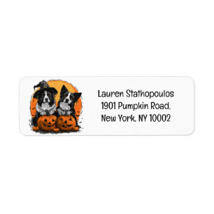 Border Collie Dogs Halloween Jack O Lanterns Return Address Label