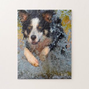Border Collie Dogs. Jigsaw Puzzle
