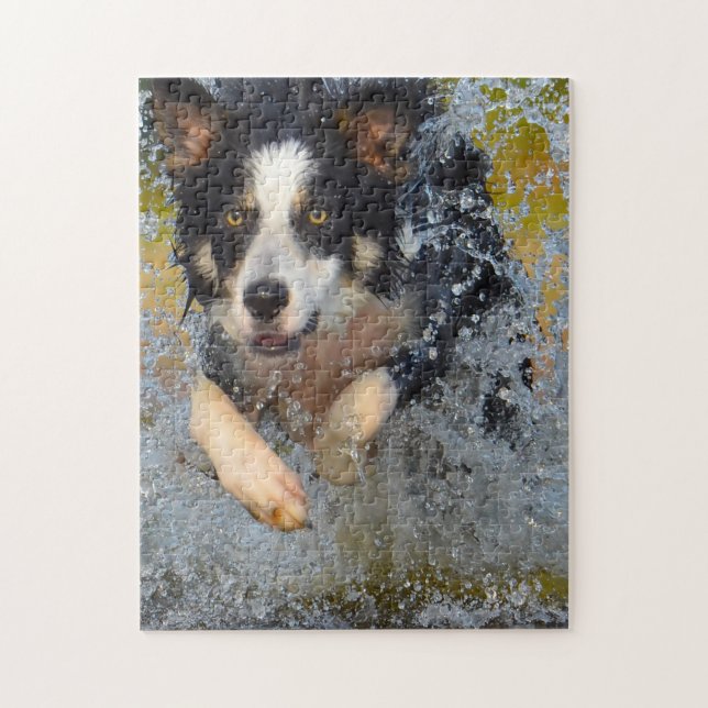 Border Collie Dogs. Jigsaw Puzzle (Vertical)