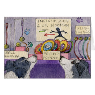 Border Collie dogs window shopping