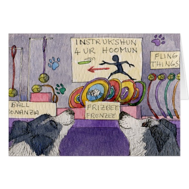 Border Collie dogs window shopping (Front Horizontal)