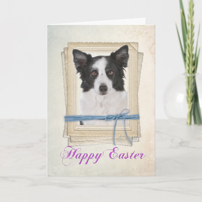 Border Collie Easter Card (Front)