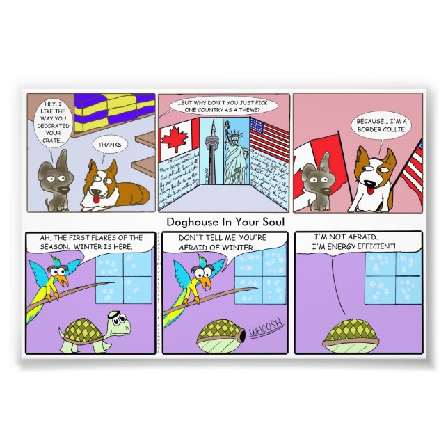 Border Collie / Energy Efficient Photo Print (Front)