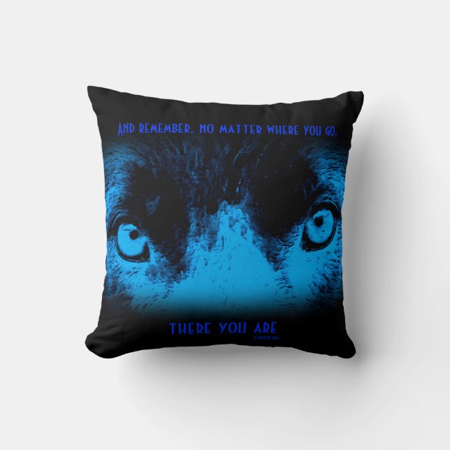 Border Collie Eyes Confucius Inspirational Quote Cushion (Front)