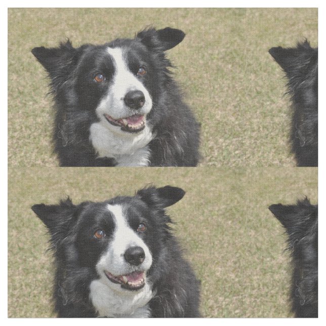 Border collie fabric (Close Up)