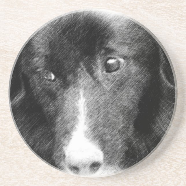 Border Collie Face Dog Animal Coaster (Front)