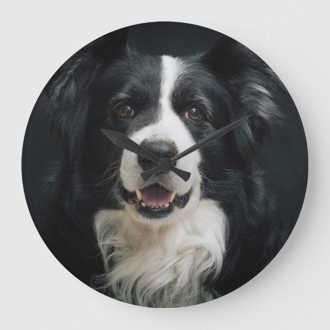 Border Collie Face Large Clock (Front)
