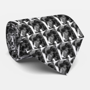 Border Collie Face Pencil Art Tie