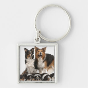 Border collie family key ring