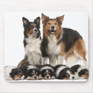 Border collie family mouse pad