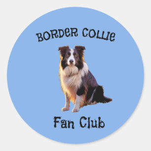 Border collie fan club  classic round sticker