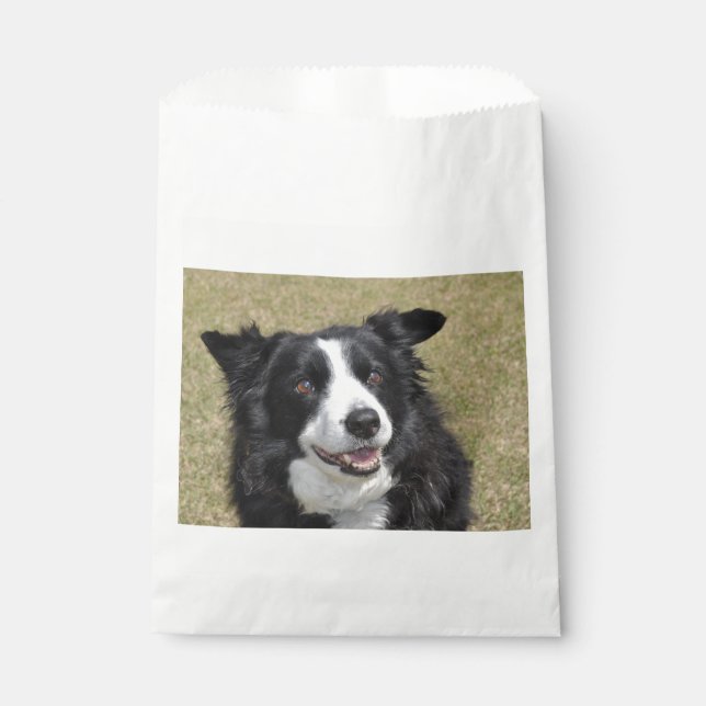 Border collie  favour bag (Front)