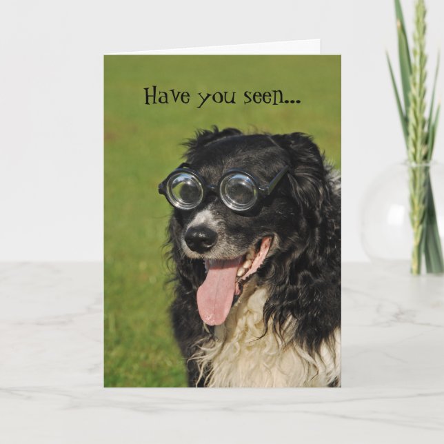 Border Collie Flocking Funny Card (Front)