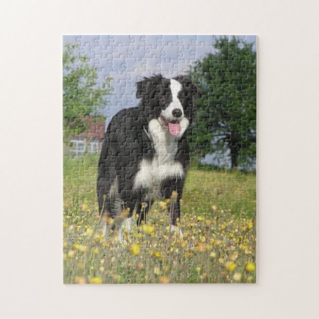 border collie full 3.png jigsaw puzzle (Vertical)