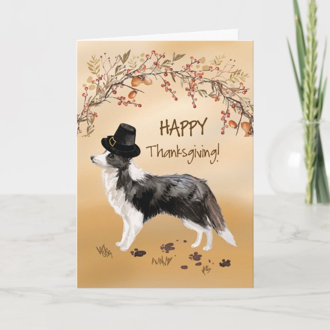 Border Collie Funny Pilgrim Hat Thanksgiving Card (Front)
