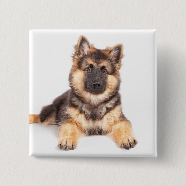 Border Collie German Shepherd Mix 15 Cm Square Badge (Front)