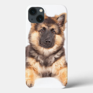 Border Collie German Shepherd Mix iPhone 13 Case