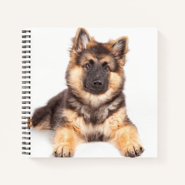 Border Collie German Shepherd Mix Notebook (Front)