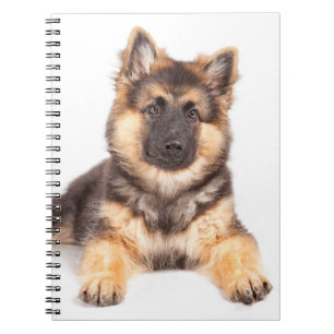 Border Collie German Shepherd Mix Notebook