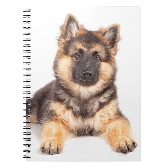 Border Collie German Shepherd Mix Notebook (Front)