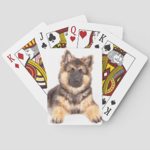 Border Collie German Shepherd Mix Playing Cards