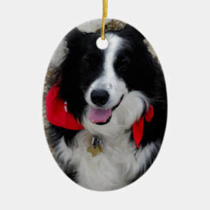 Border Collie Gifts Ceramic Ornament