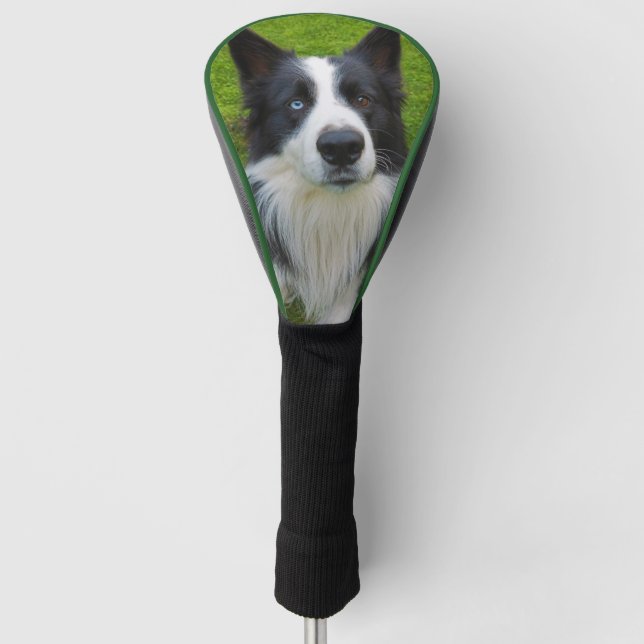 Border Collie Golf Head Cover (Front)