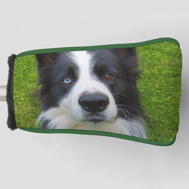 Border Collie Golf Head Cover (Front)