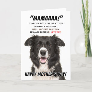 Border Collie Greeting card
