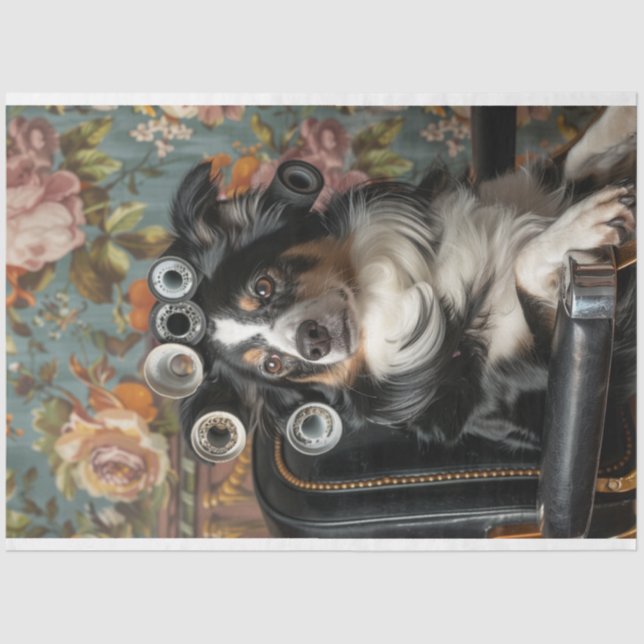 Border Collie Hair Cut Style Pampered Decoupage Tissue Paper (Front)