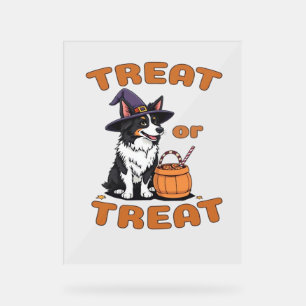 Border Collie Halloween Dog Costume “Treat or Trea Acrylic Sign