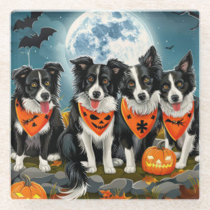 Border Collie Halloween Spooky Glass Coaster