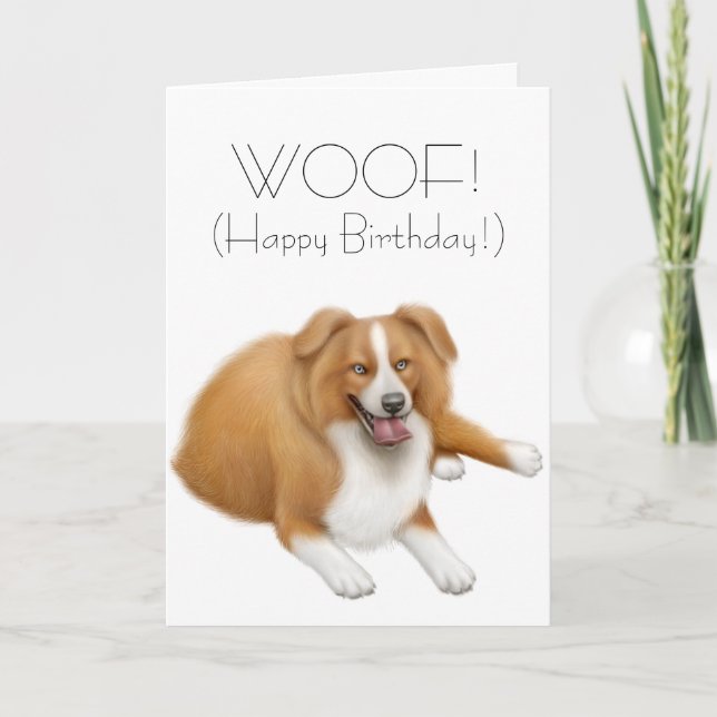 Border Collie Happy Birthday Card (Front)